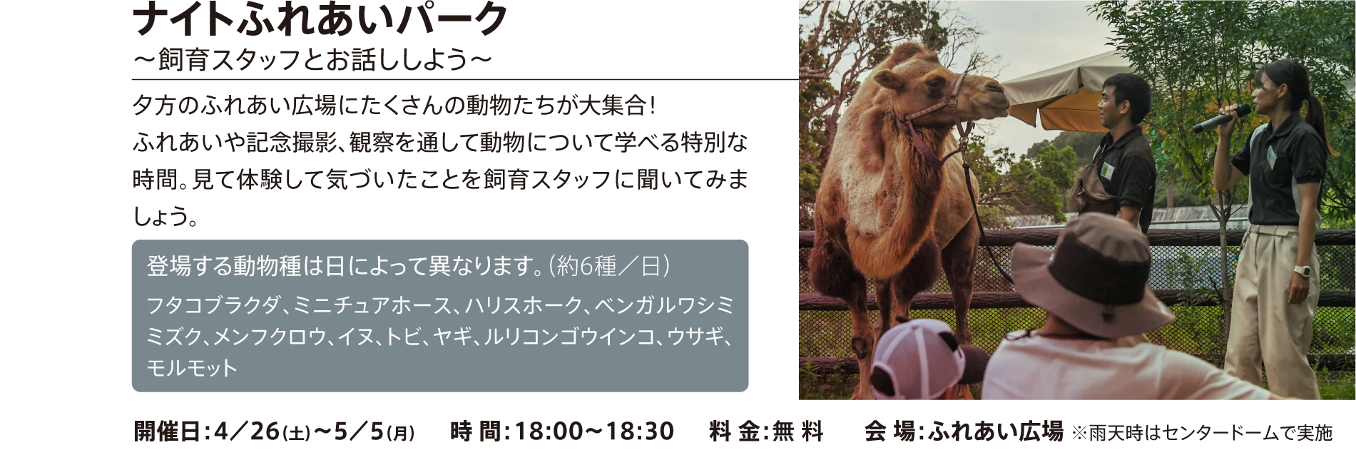 ナイトふれあいパーク ～飼育スタッフとお話ししよう～
                    夕暮れのふれあい広場にたくさんの動物たちが大集合し、見て体験して学べる特別な時間。動物たちの気になることを飼育スタッフに聞いてみましょう！