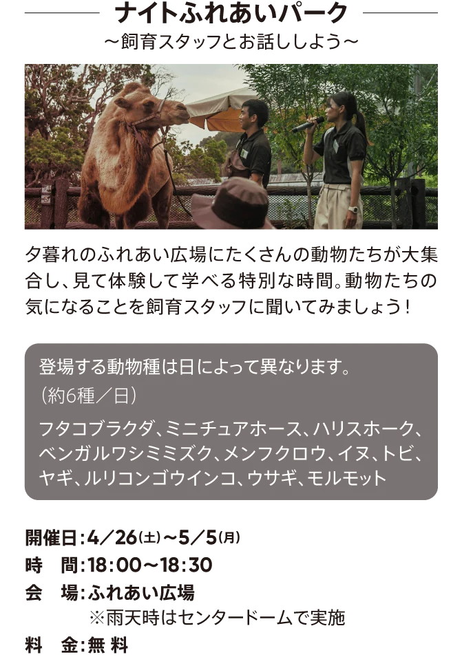 ナイトふれあいパーク ～飼育スタッフとお話ししよう～
                    夕暮れのふれあい広場にたくさんの動物たちが大集合し、見て体験して学べる特別な時間。動物たちの気になることを飼育スタッフに聞いてみましょう！