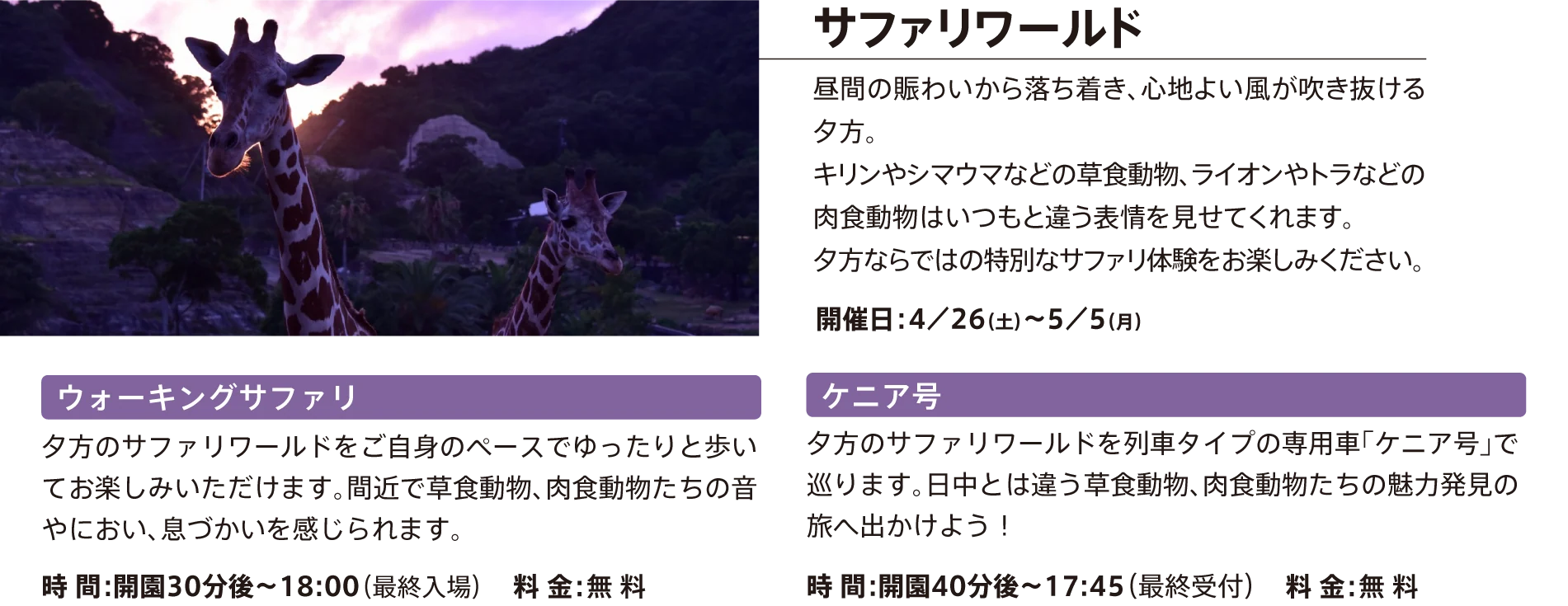 サファリワールド 夕暮れから夜へ。 大自然を背景にキリンやシマウマなどの草食動物、ライオンやトラなどの肉食動物が躍動する姿をウォーキングサファリやケニア号でお楽しみいただけます。