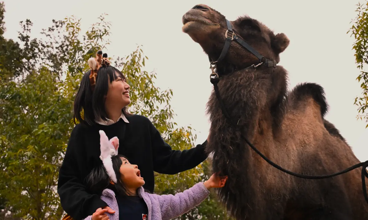 ナイトふれあいパーク