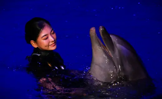 ナイトマリンライブ「LOVES」